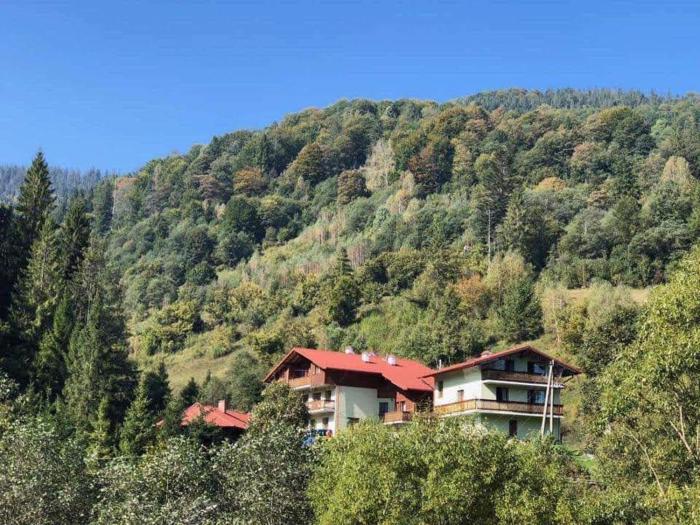 Лісова казка