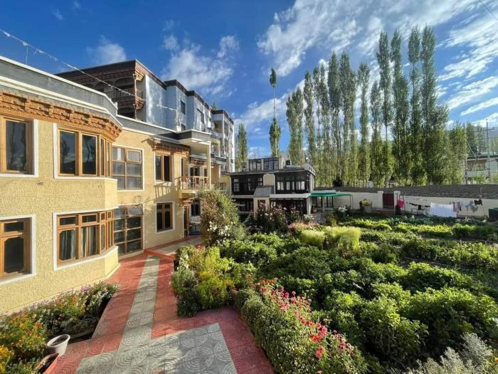 Zaltak Guest House and Hostel