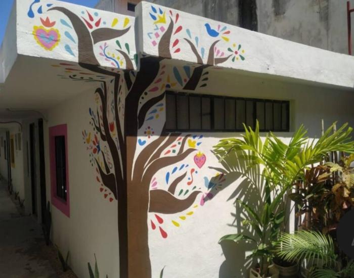 La Casa de los Cactus 8