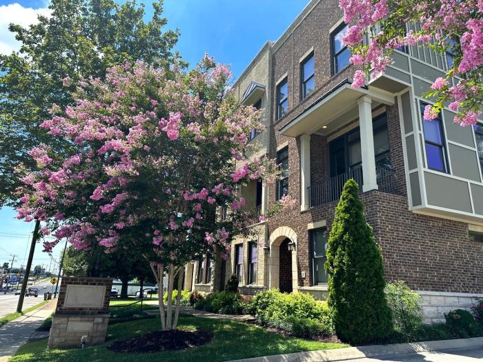 THE PAINTED MUSE I Stylish 3BR with Rooftop Hot Tub in East Nashville