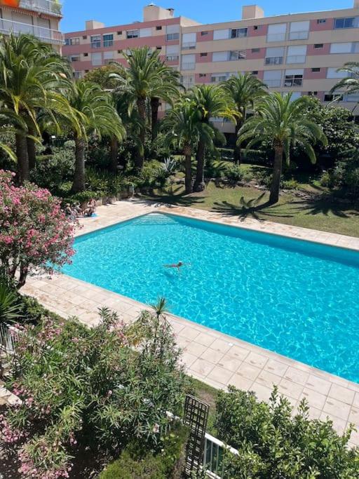 Petit deux pièces avec piscine