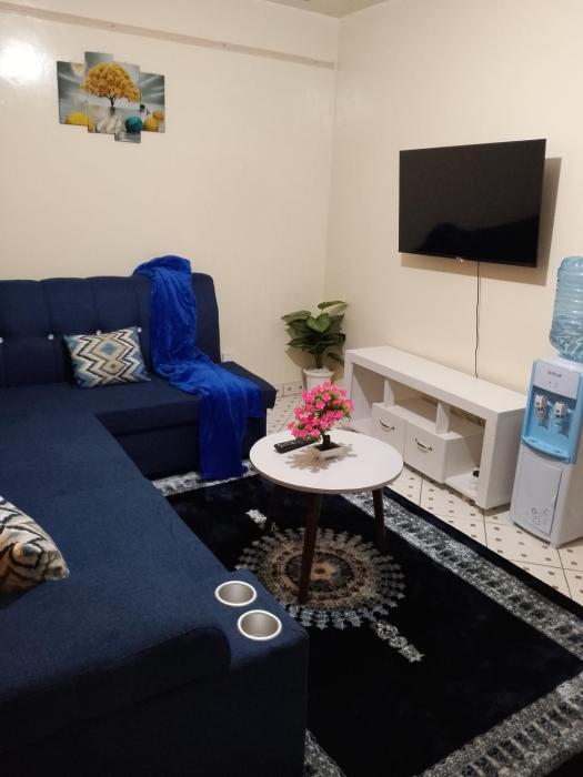 One bedroom apartments in south b