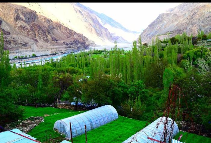 Summer and winter homestay Turtuk Youl