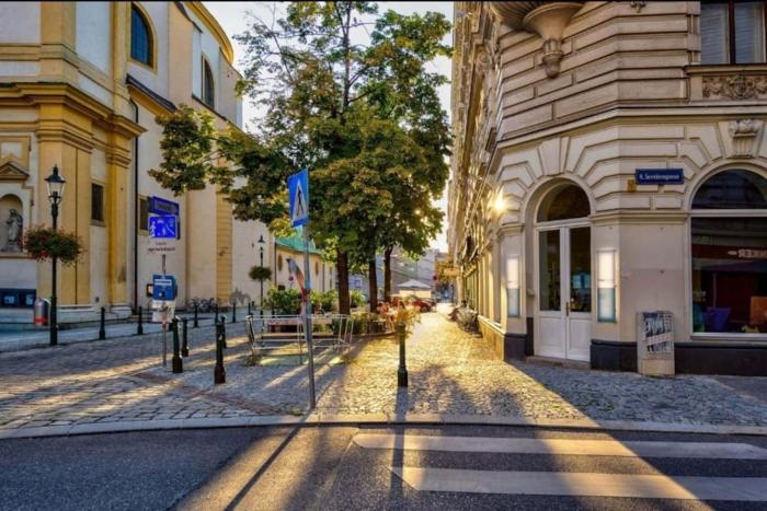 Your Sunny Home Away from Home