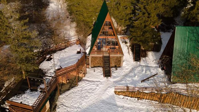 Forest Moodტყის განწყობა