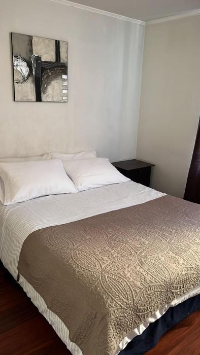 Dpto a Pasos del Palacio de la Moneda