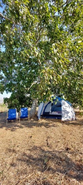 La Sosta del Viandante - Camping