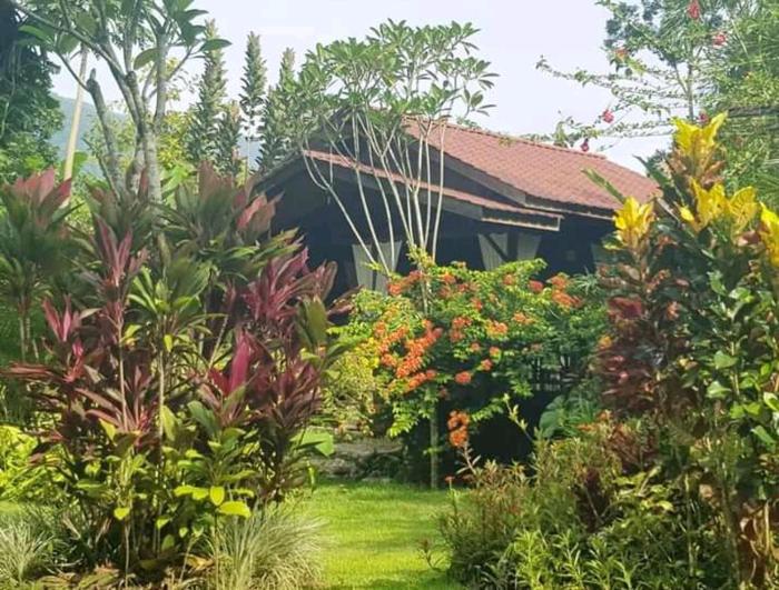 Thousand hills peaceful bungalows and expert jungle treks