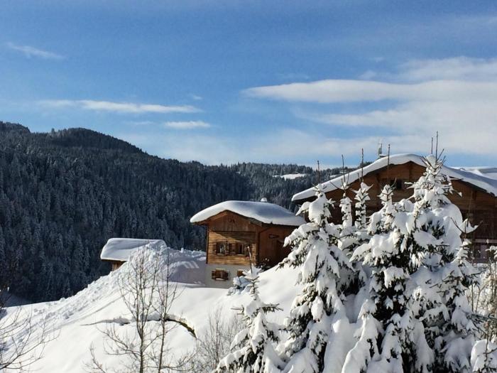 Chalet confortable avec sauna, Wi-Fi et parking privé - FR-1-671-21