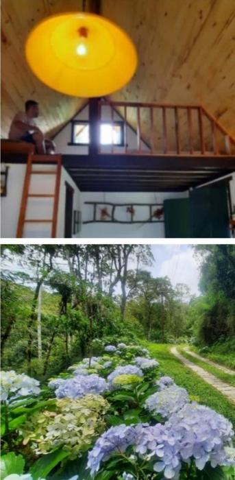Chalé Pakere SerraBella Lumiar - natureza exuberante, lareira sauna, piscina e água de nascente - locação do chalé sem prestação de serviços