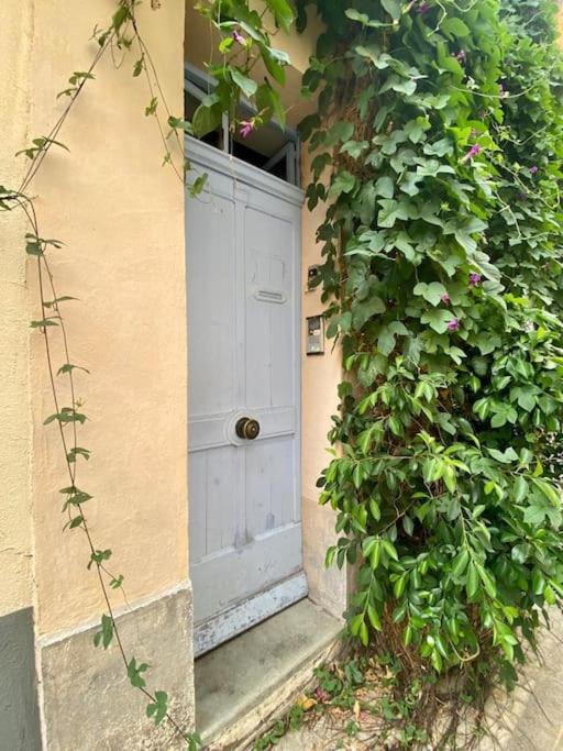 Click! Casa Lamartine Fabulous Ideal Location Walk to ALL!!!
