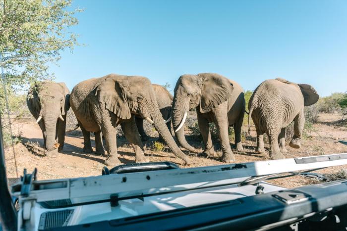 Omaruru Game Lodge