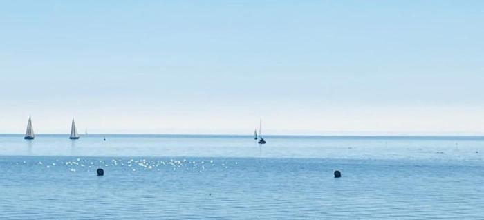 Storchennest am Dümmer