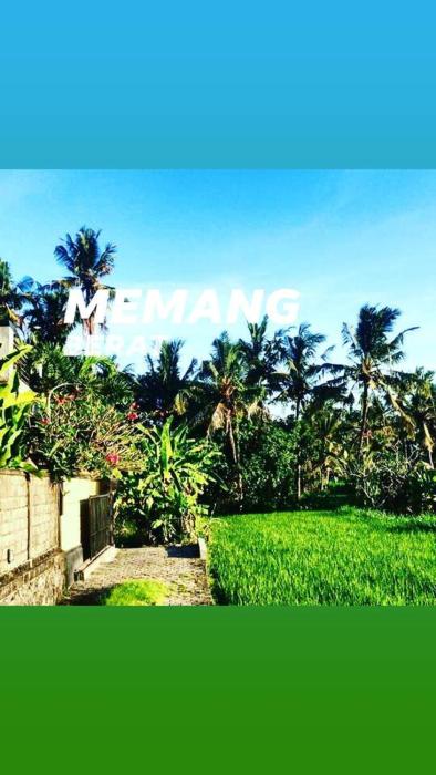 Uda House Saba Beach 2