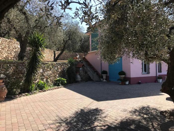 Al chiaro di luna (009029-LT-0962)