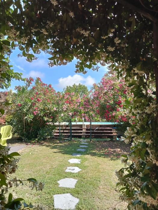 Cosy en Provence