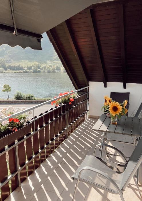 Ferienwohnung Moselflair mit direktem Blick auf die Mosel und Weinberge
