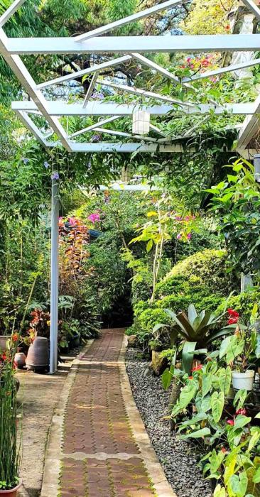 JCGA Apartments (Angelos Burnham)