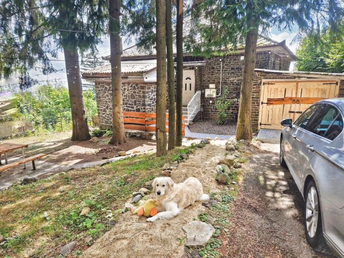 Mountain Home - Galyatető