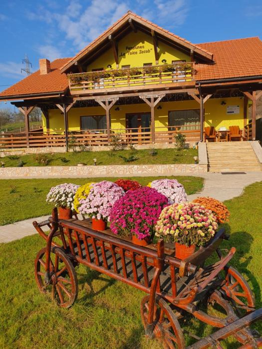 Pensiunea La Taica Iacob