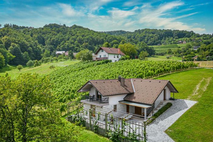 Vineyard Cottage Radovlja With Sauna - Happy Rentals