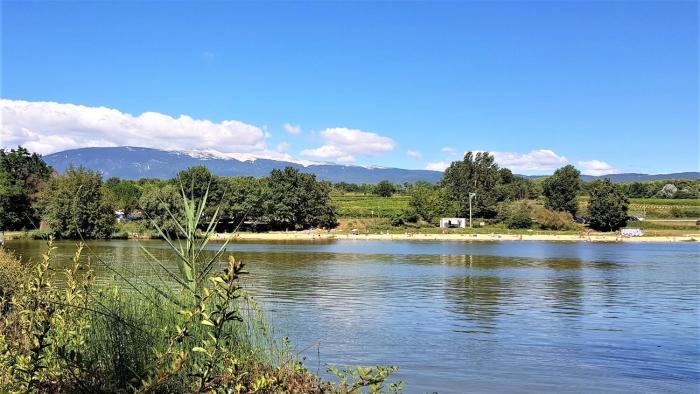 vacances en provence olivier