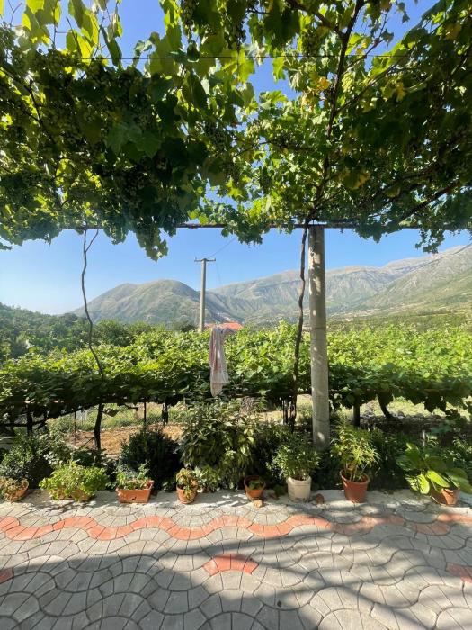 Apartament Dukat Albania