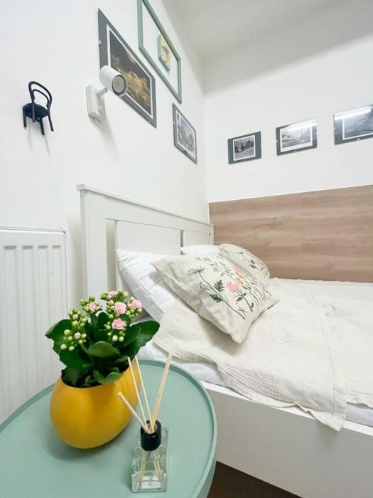 Republicii Small Central Studio