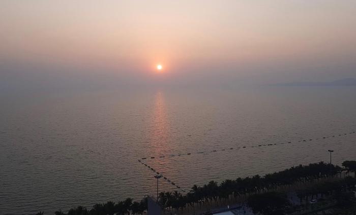 Condotel, Studio Apartment