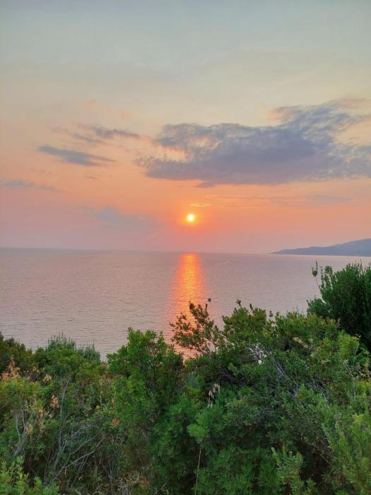 Cilento Paradise - Appartamento con terrazzo in Marina di Pisciotta