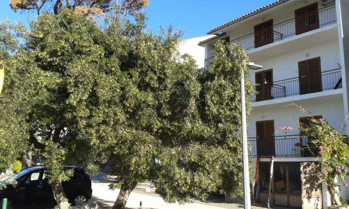 Apartments with a parking space Brela, Makarska - 20007