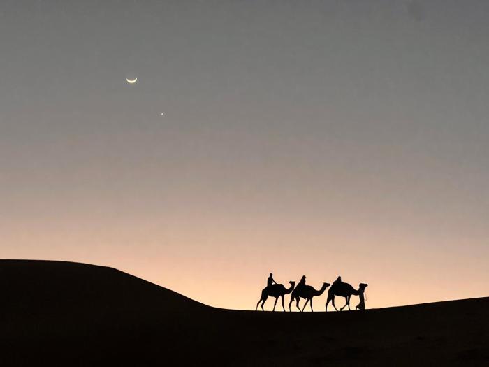 Private Bedouin Tent Al Badri
