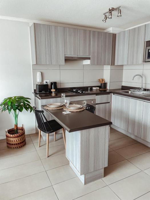 Pleno centro de iquique