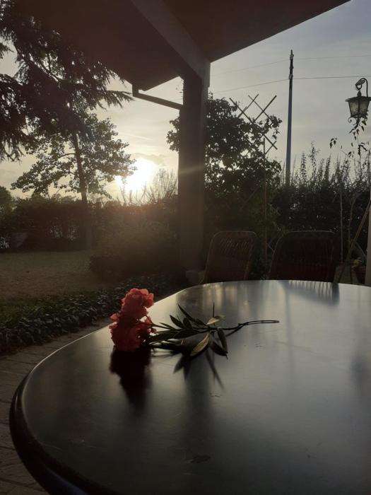 Apartament Cedro del Libano