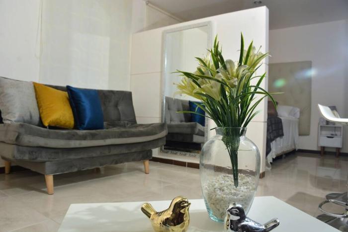 Calma en el centro de Popayán con mobiliario nuevo