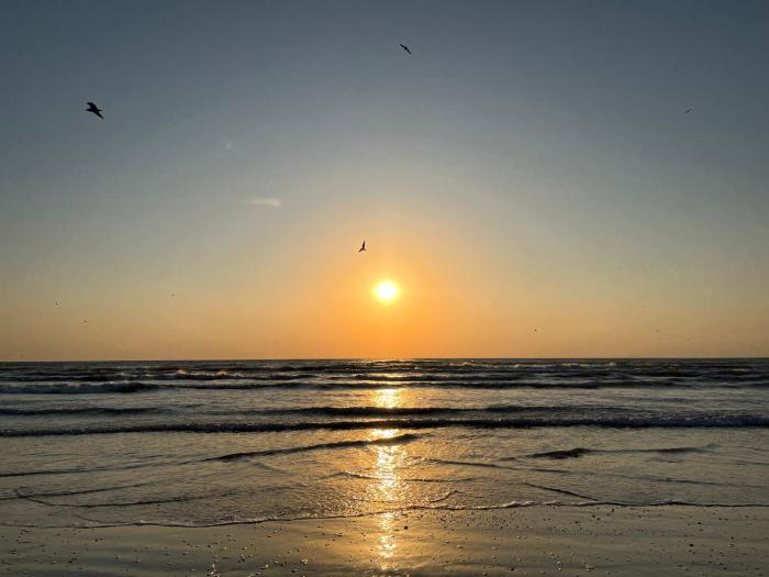 Excelsior Apartaments Mamaia Nord