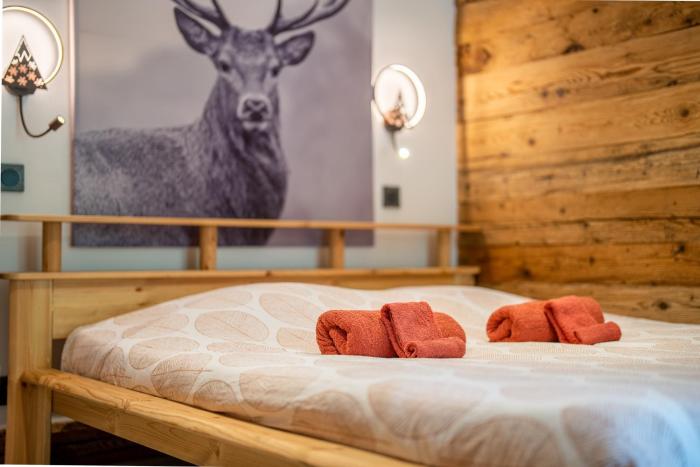 Appartement chaleureux, massif des Aravis
