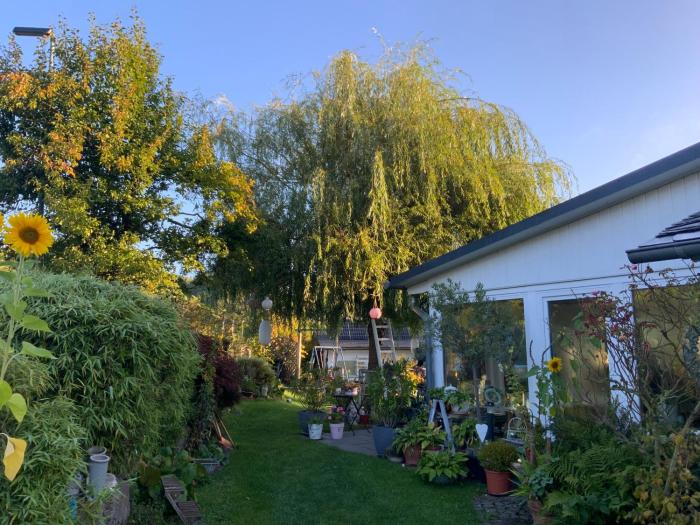 Villa Jani b&b