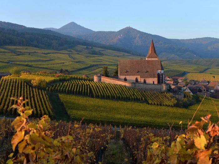 Charmant appartement rénové pour 4 pers avec terrasse à Hunawihr - FR-1-744-14