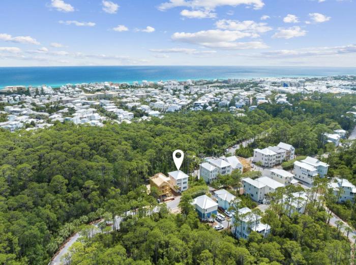 Scissortail at Treetop