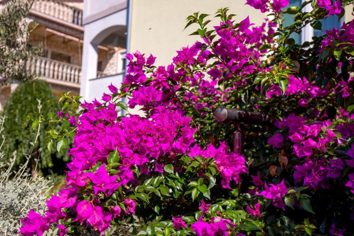 Apartments Kovačić