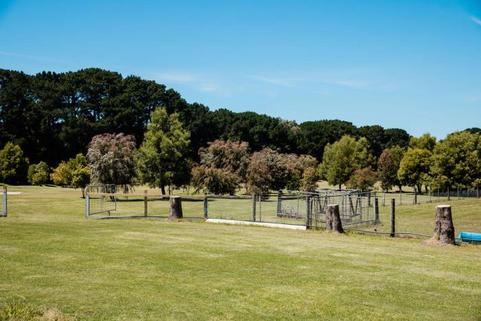 The Pavilion on Grossmans