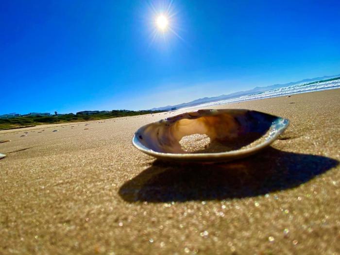 Ocean Pearl Apartment