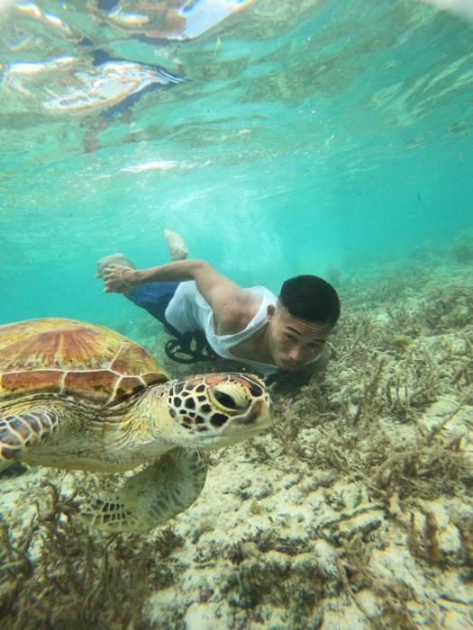 Moalboal Indinos Guesthouse sardines run and sea turtle 1 minute walking distance