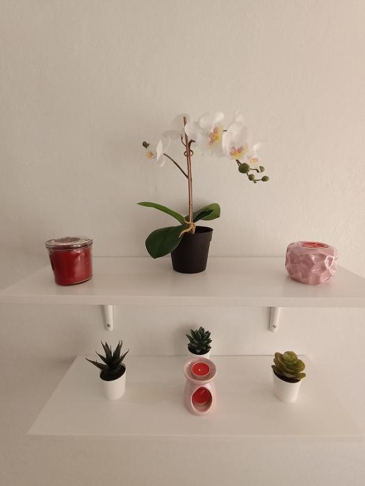 Hospedaje "La Gloria"