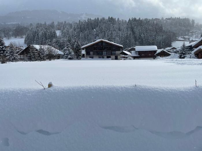 Chalet Esquinade 4 bedrooms appartment Megève