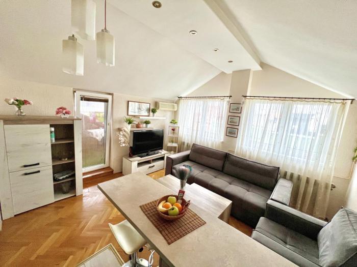 Monument to Vuk apartment