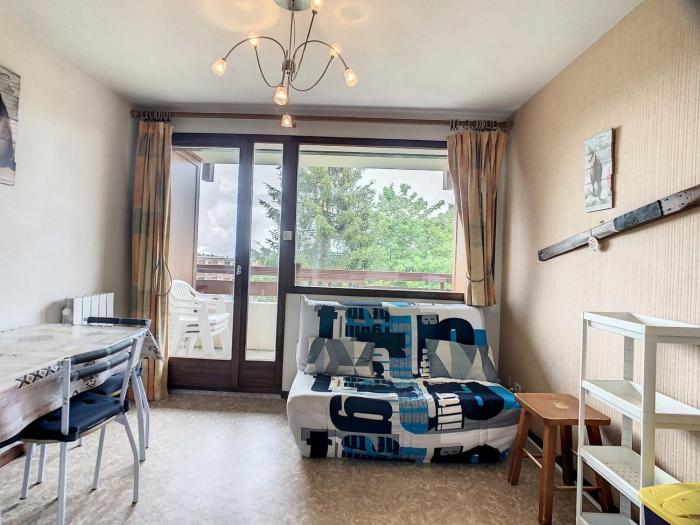 Appartement 4 pers, confortable, animaux admis, La Toussuire - FR-1-417-18