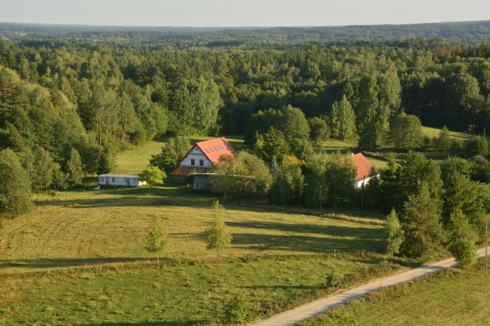 Klarysewo Slow Mazury przy lesie