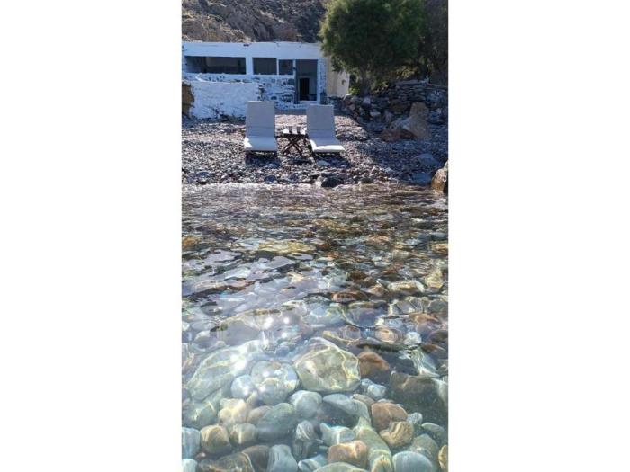 Seagull Syros Seaside
